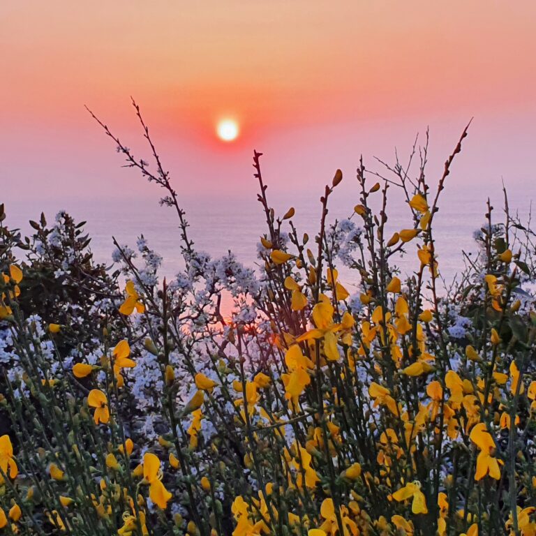 20220326 191521 768x768