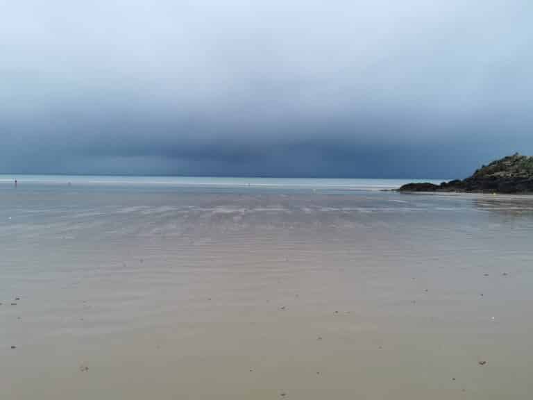 IMG 20240225 135831 768x576